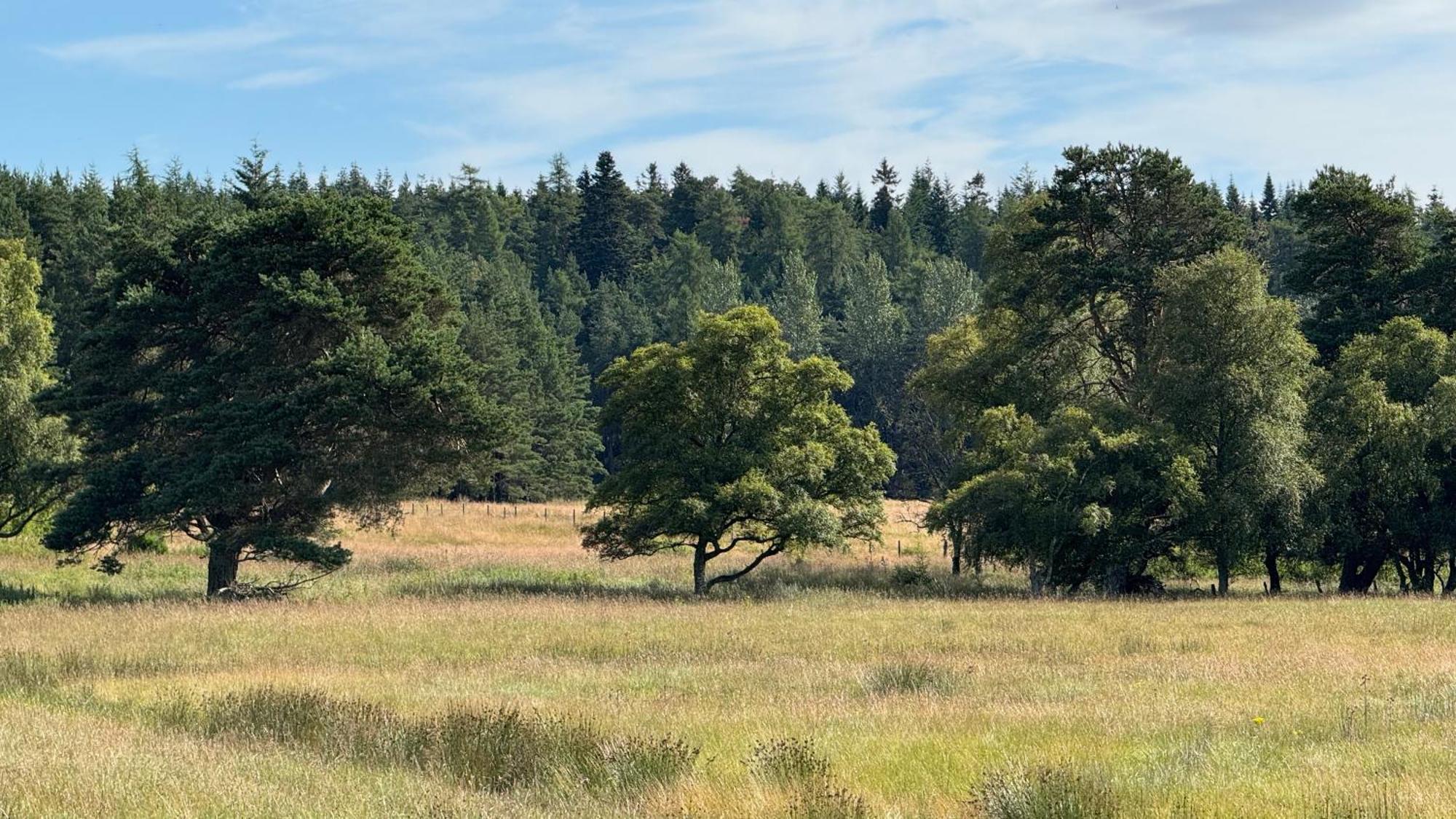 Wildcat Lodge Grantown On Spey Luaran gambar