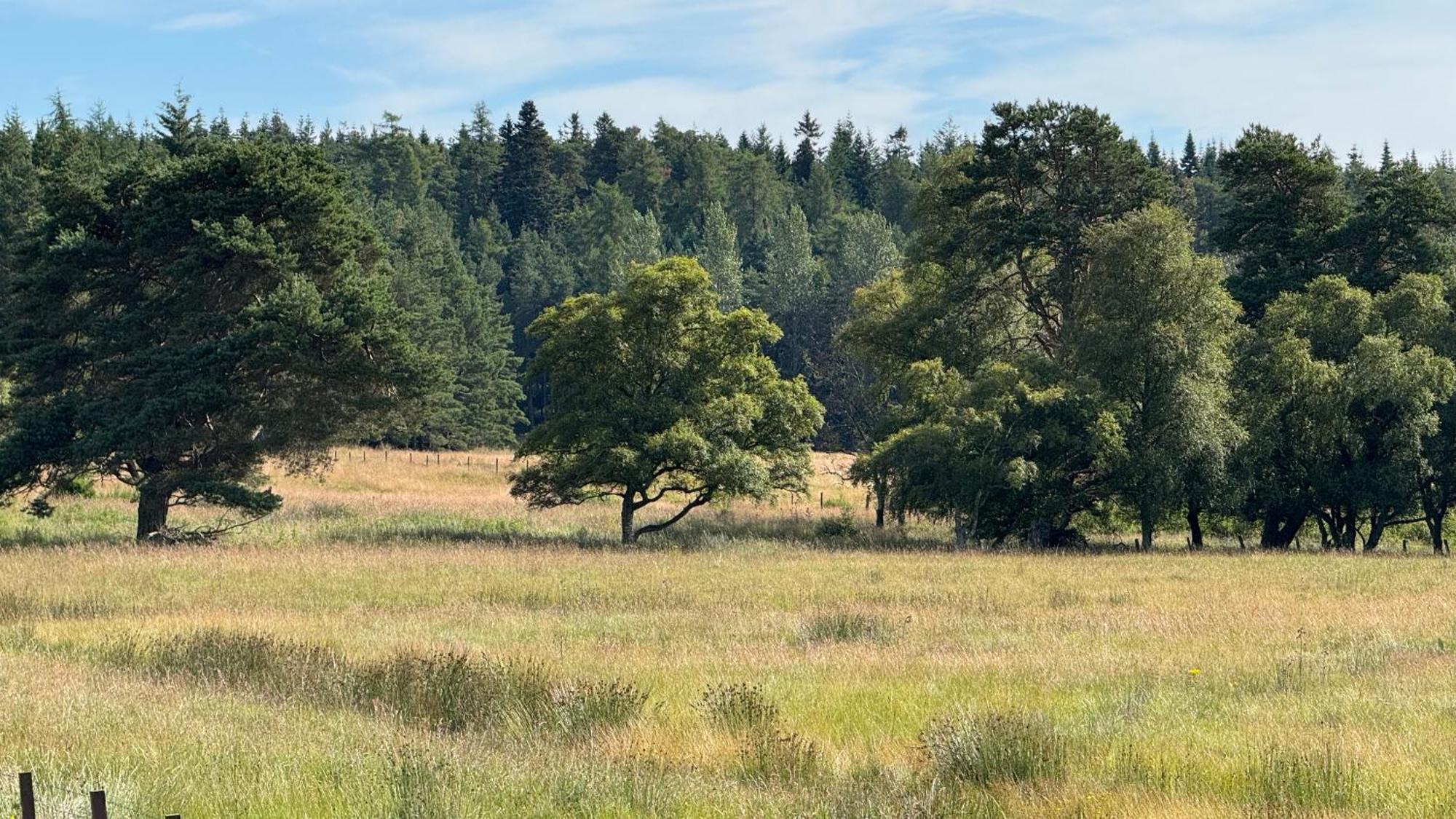 Wildcat Lodge Grantown On Spey Luaran gambar